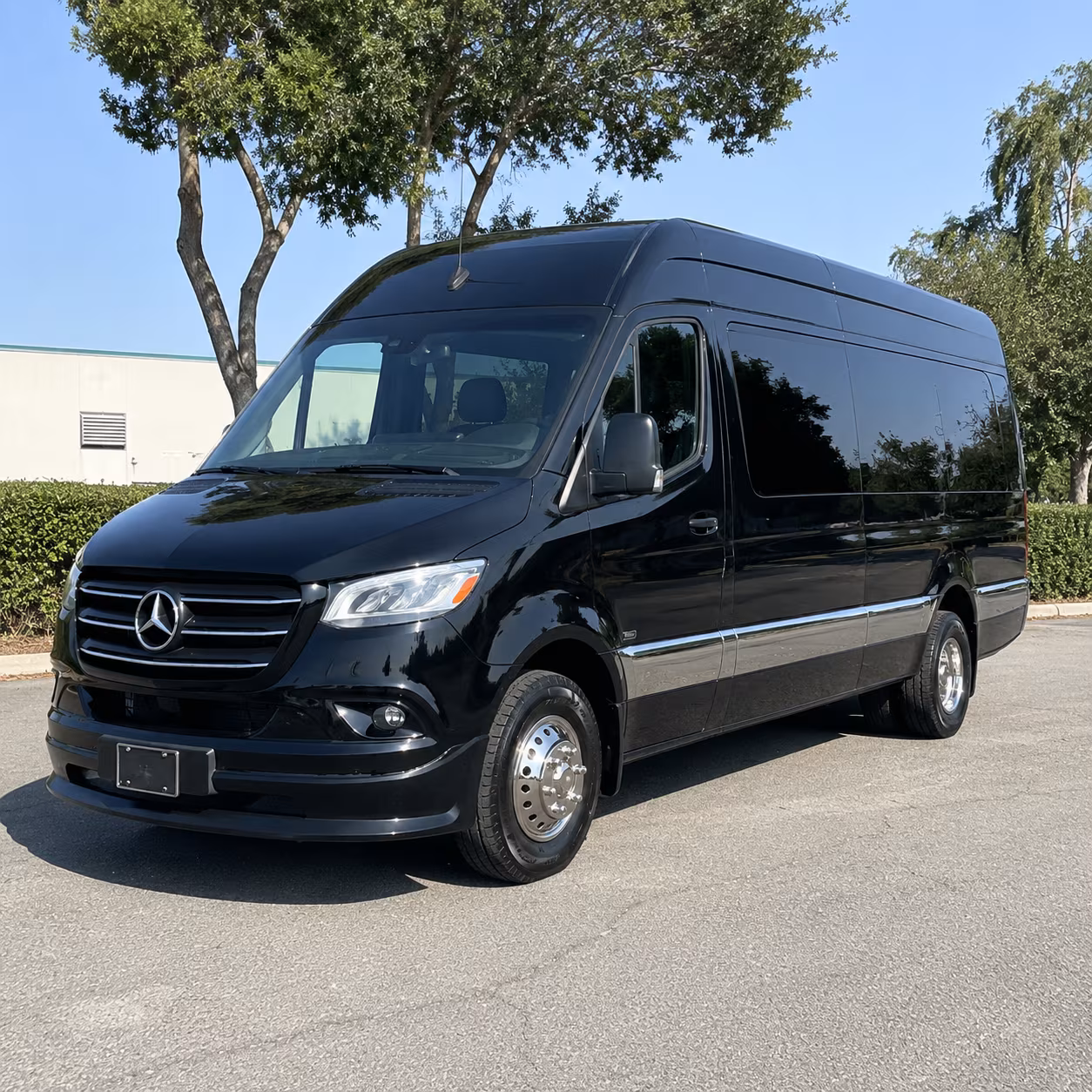 oceanside 12 passenger sprinter van