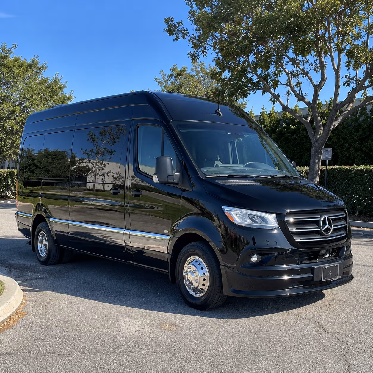 Oceanside Birthday Transportation